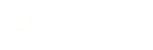 Evehica Pharmaceuticals Pvt. Ltd.